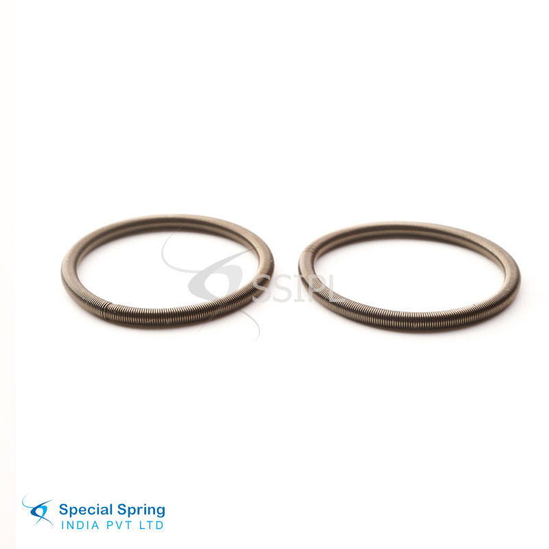 Garter Spring