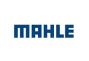 Mahle-Anand-Filters-India